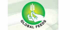 Global Feed